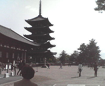 :興福寺五重塔(向かって左手に国宝館がある)